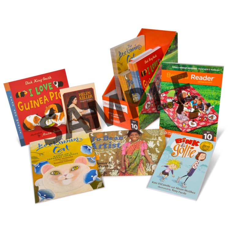 Being a Reader, 2nd Edition SmallGroup Reading Set 12 Collaborative