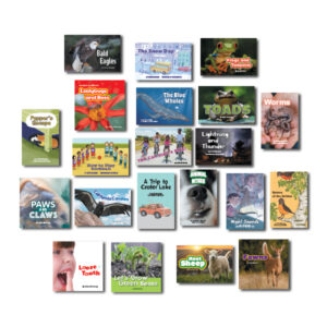 Being a Reader, 2nd Edition "Extra Practice" Decodable Collection, Grade 2