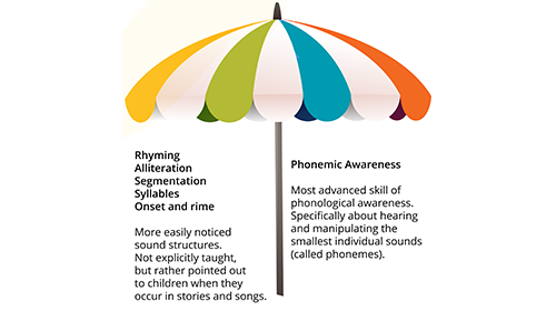 Developing the Big 5 Early Literacy Skills: Phonological Awareness