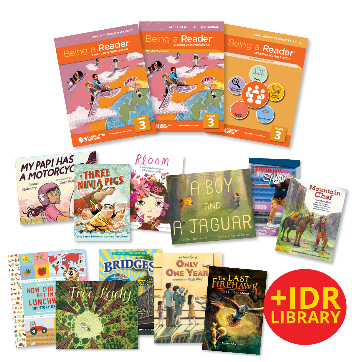 Being a Reader, Expanded 2nd Edition Classroom Package with IDR, Grade 3