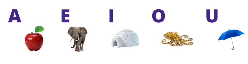Photo shows the letter a with an apple next to it, the letter 3 with an elephant next to it, the letter I with an igloo next to it, the letter o with an octopus next to it, and the letter u with an umbrella next to it.