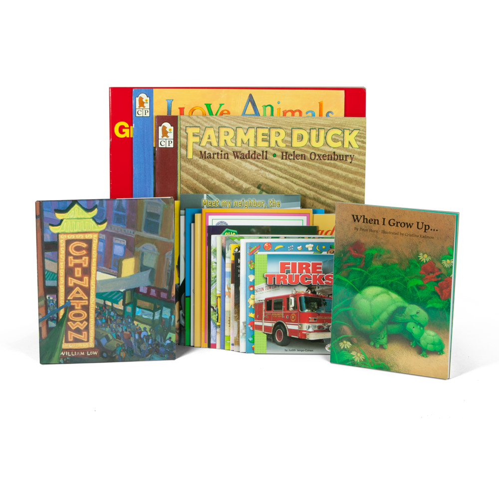 lego book set