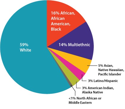 Diversity Chart