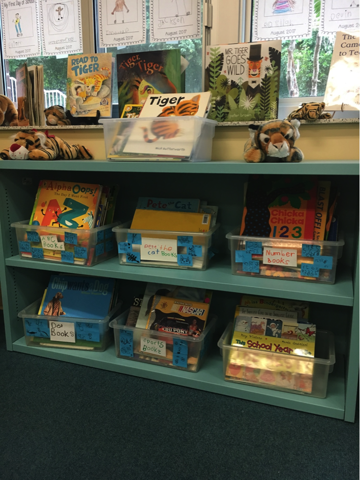 Displays for Schools, Classrooms & Libraries