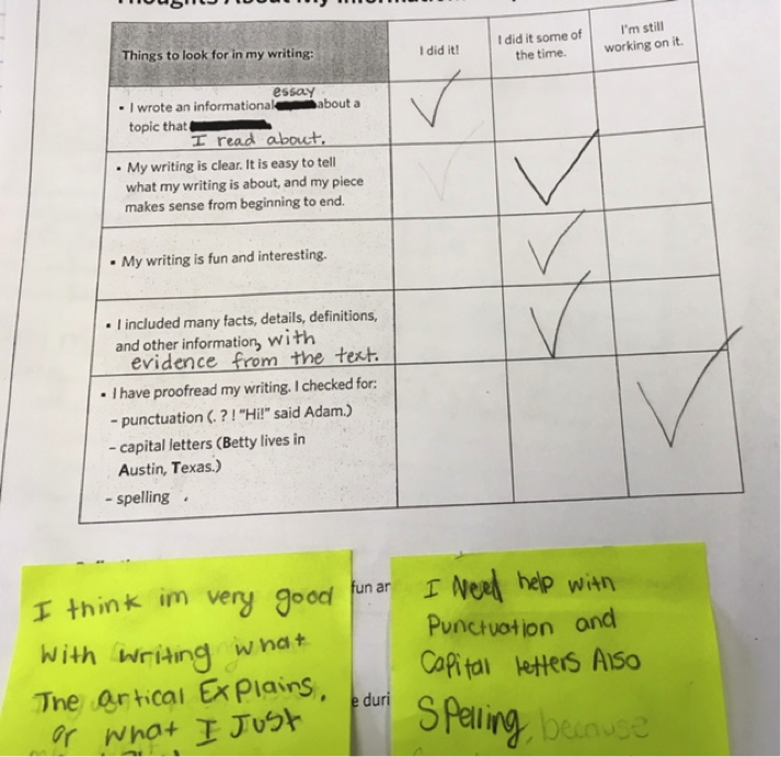 Professional paper writing year 1